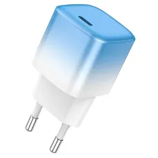 Hoco C101A Charger Adapter with Type C to Lightning Cable