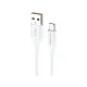 Riversong CM85 Beta 09 Micro USB Data Cable
