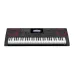 Casio CT-X9000IN 61-key Standard Musical Keyboard Without Adapter