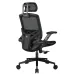 Cougar SPEEDER ONE Ergonomic Gaming Chair