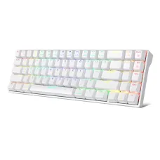 Royal Kludge RK71 RGB Hot Swappable Brown Switch Tri-Mode Wireless Mechanical Keyboard