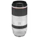 Canon RF 100-500mm f/4.5-7.1L IS USM Camera Lens