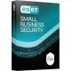 ESET Small Business Security (Server) for 15 users