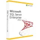 Microsoft SQL Server 2022 Enterprise 2 Core License Pack (CSP Perpetual) 