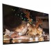 Sony BRAVIA 55A9G 55-Inch OLED 4K Ultra HD Smart Android TV