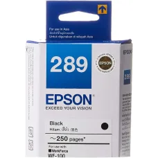 Epson T289 Black Ink Bottle