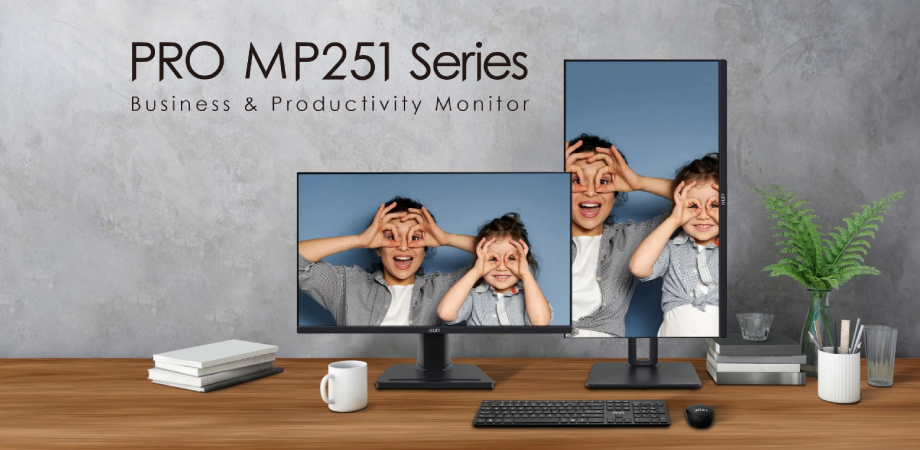 MSI PRO MP251P 24.5